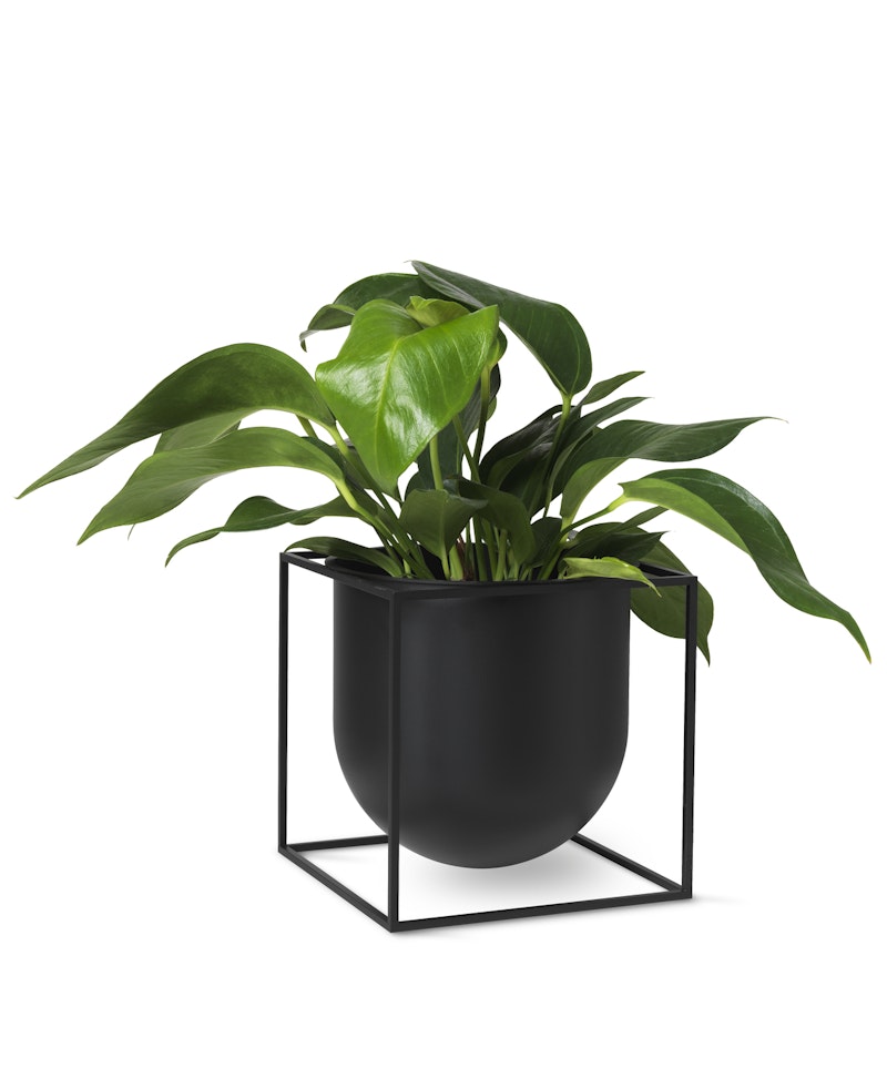 Kubus Flowerpot 23, Black